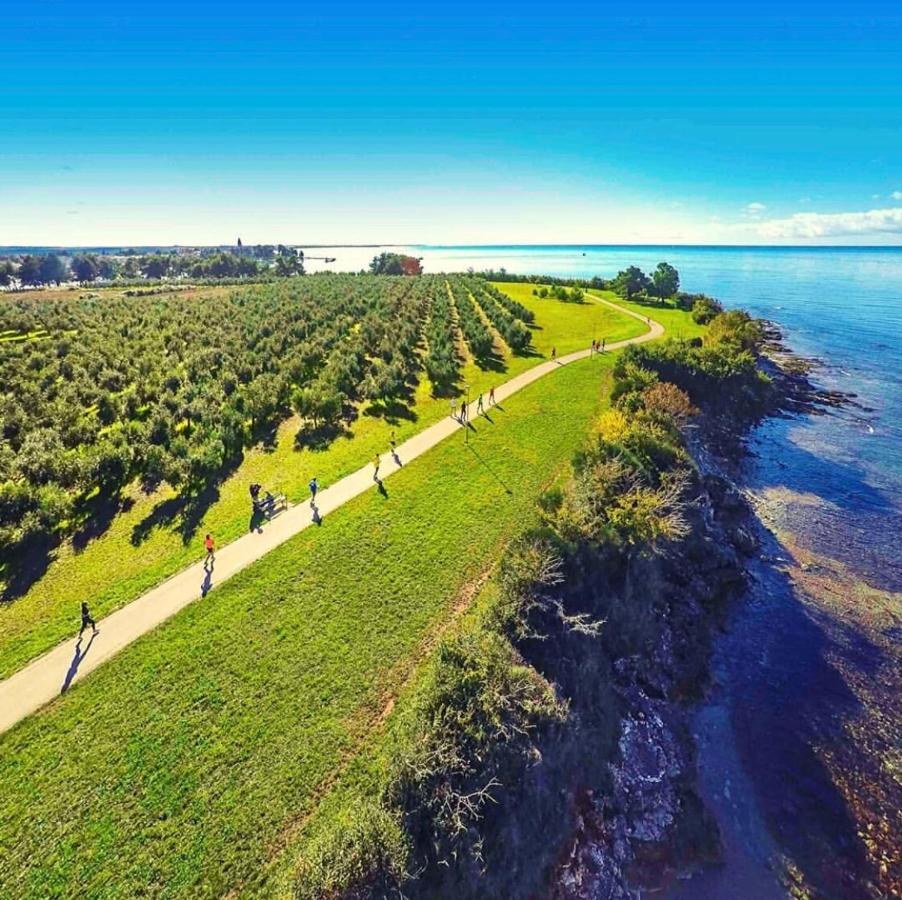 Corinne Garden Residence Novigrad Istria Extérieur photo